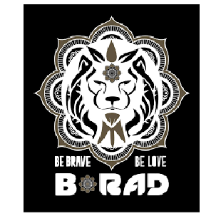 B-Rad Foundation - Logo